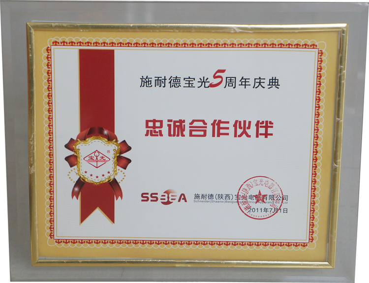 施耐德宝光忠诚合作伙伴