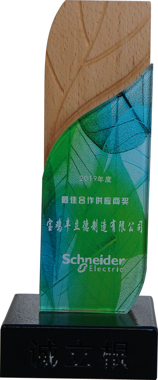 施耐德合作供应商奖